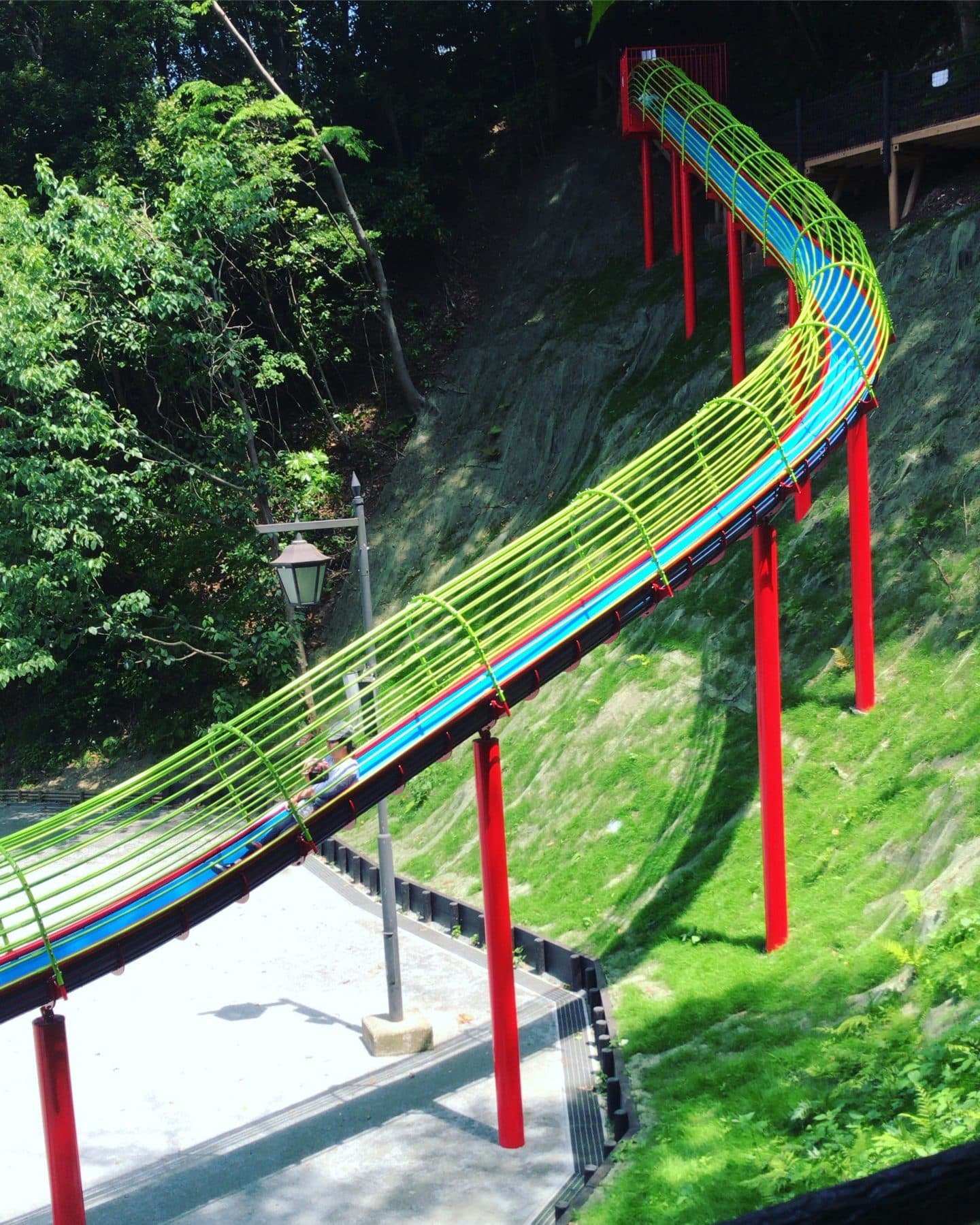 🏞️ 스즈카 플라워 파크 이미지 8